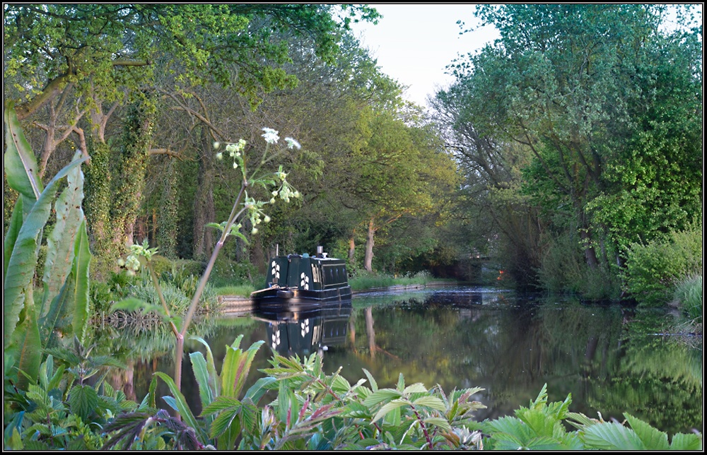 Perfect peace, Bradley Green.