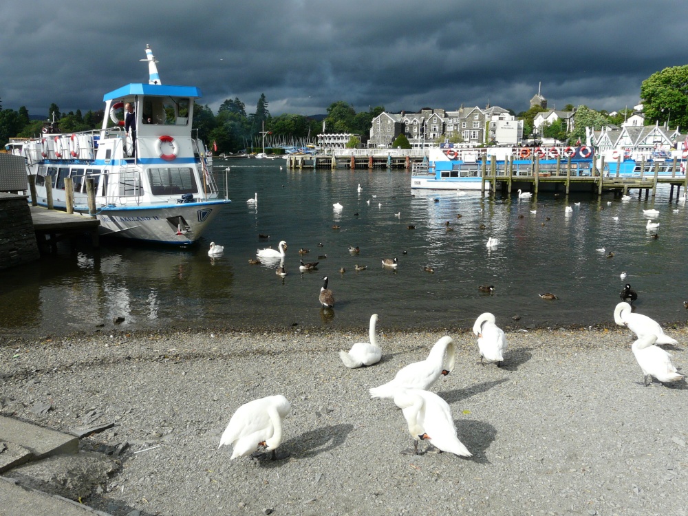 Swans and boats, Bowness