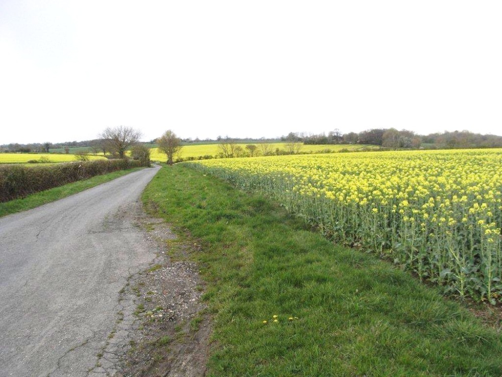 Photograph of A country road in Horham