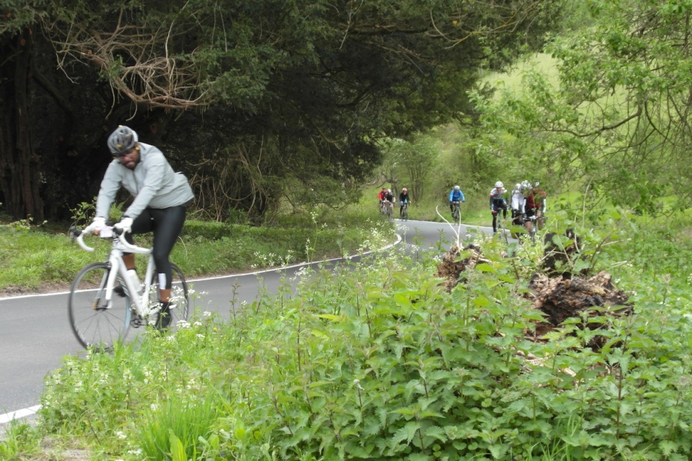 Wannabees photo by Vince Hawthorn