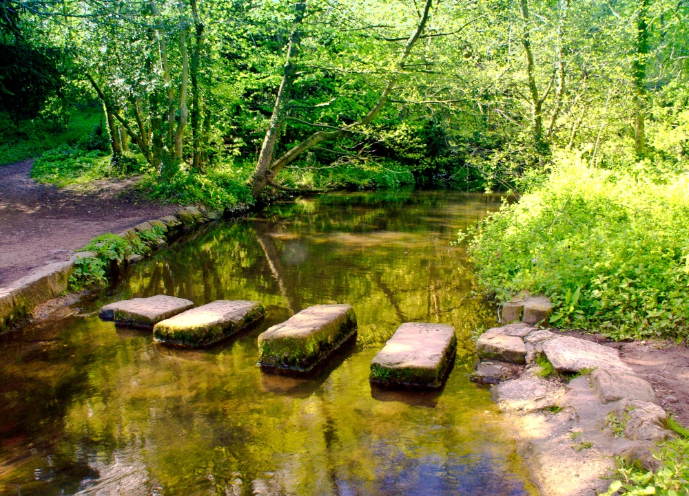 Stepping Stones, Roche Abbey, South Yorkshire photo by Mick Carver