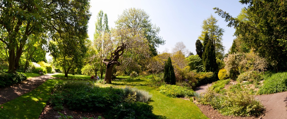 "Bath Botanical Gardens" by Colin Jones at PicturesofEngland.com