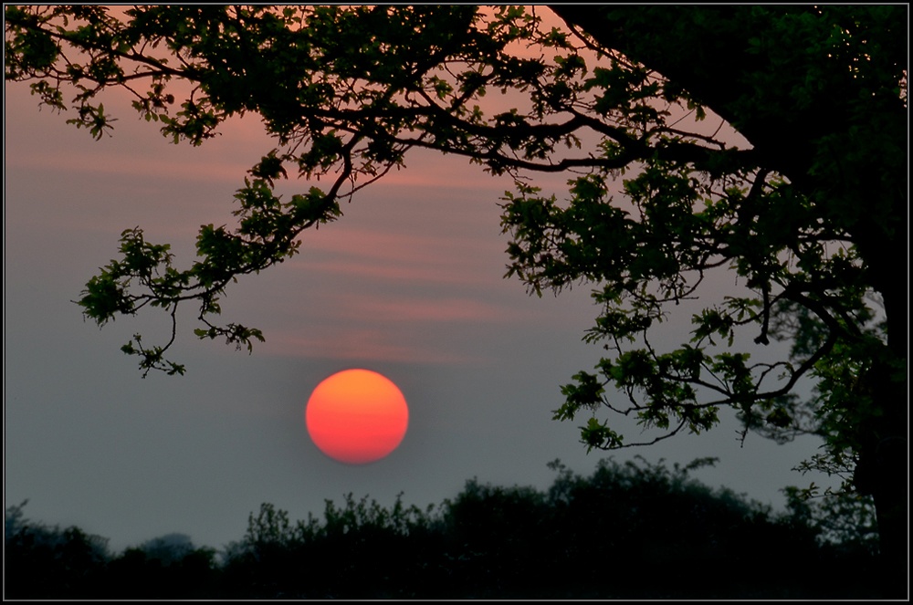 Hazey Sunset, Barby.