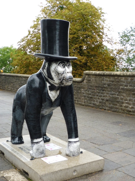 The Gorilla Trail, Bristol