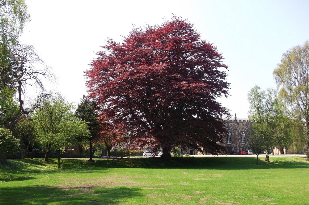 Auckland Castle, Bishop Auckland, Durham  24 May 2012