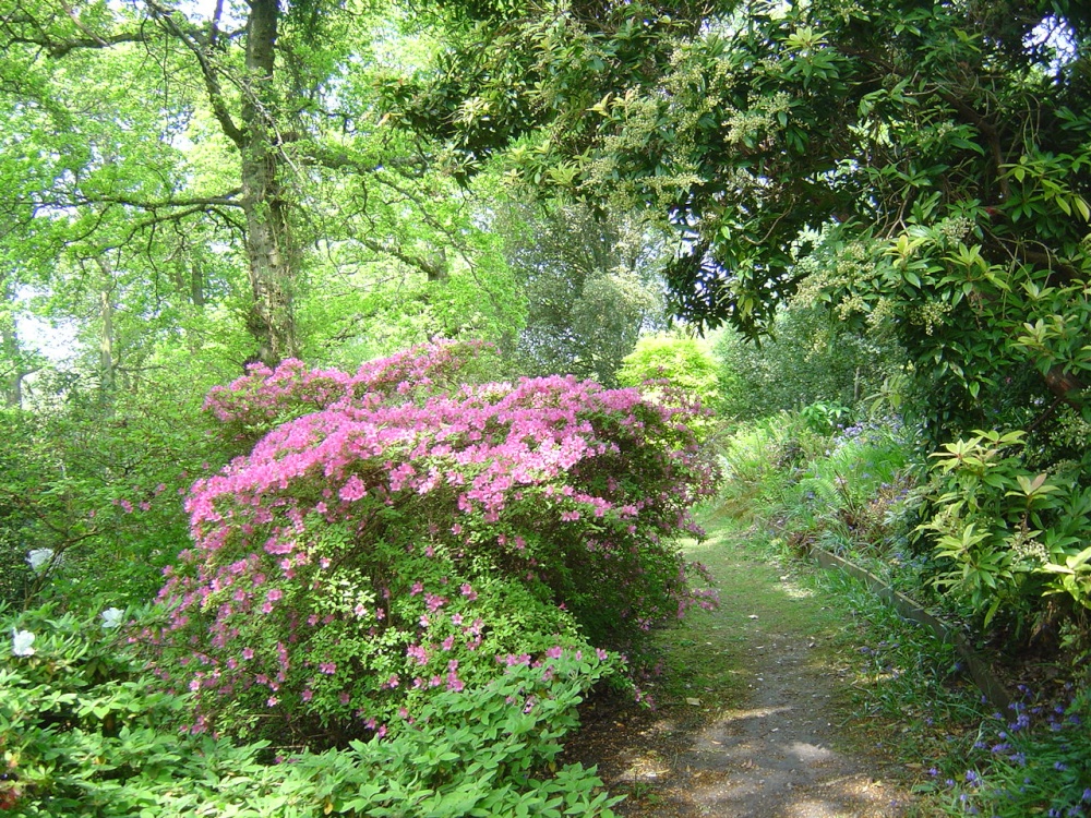 Photograph of Spinners Garden in Boldre (The New Forest)