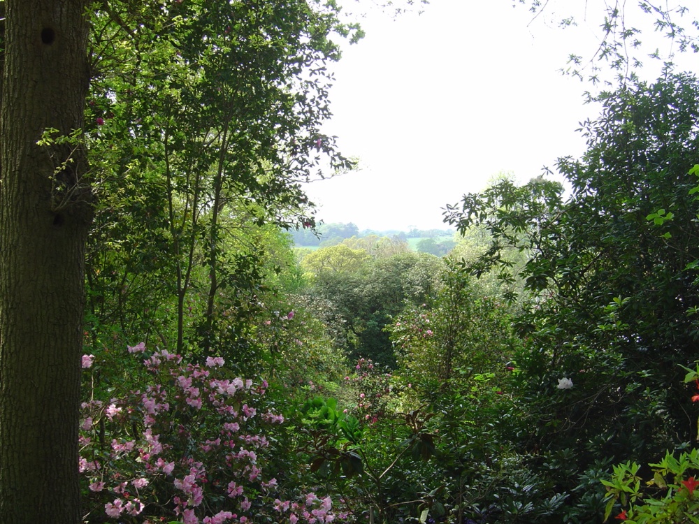Spinners Garden in Boldre (The New Forest)