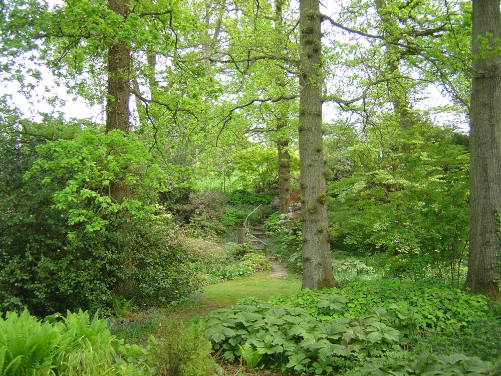 Spinners Garden in Boldre (The New Forest)
