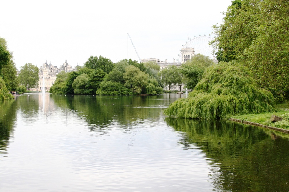 Looking towards the river from Hyde Park