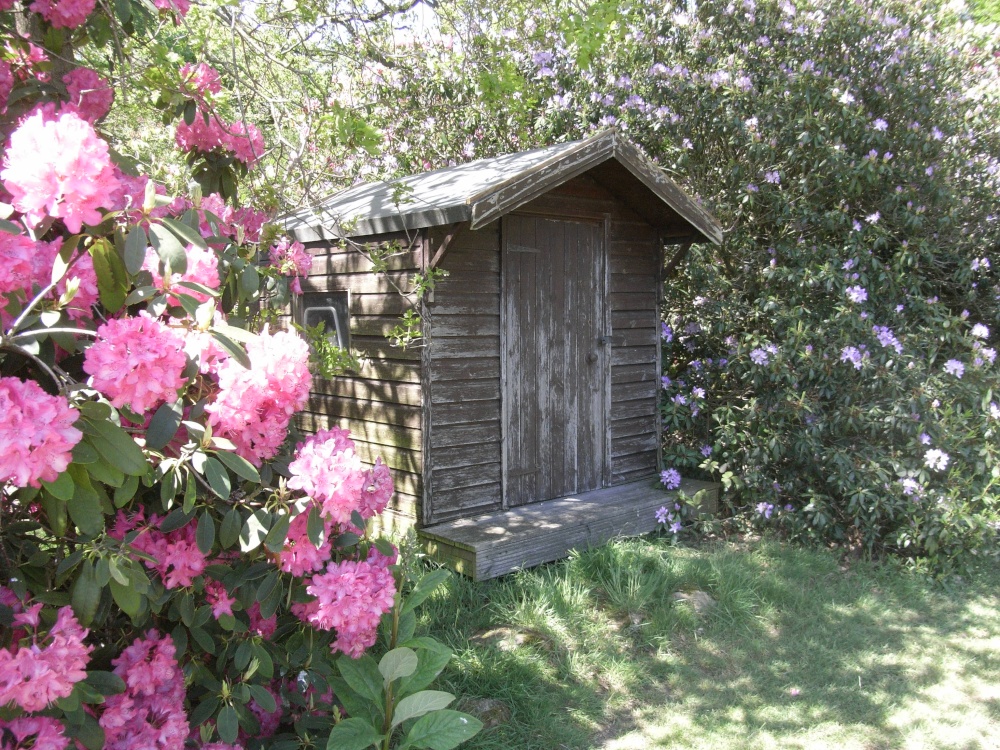 Photograph of Stody Lodge Gardens