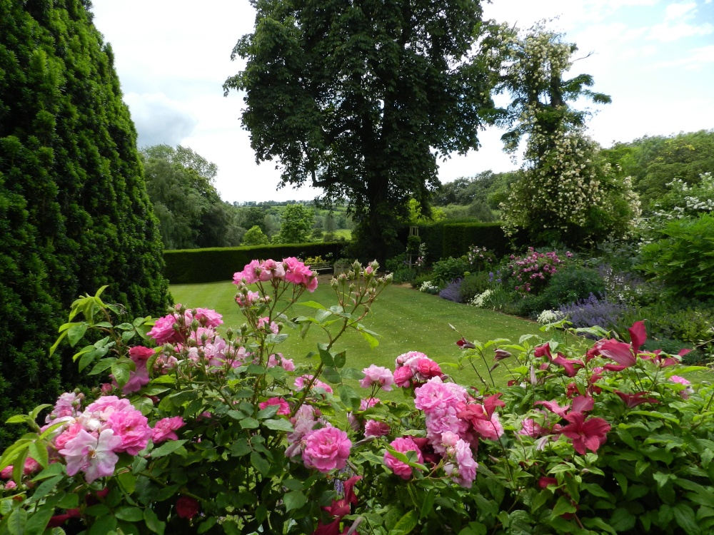Coton Manor Wildlife Garden