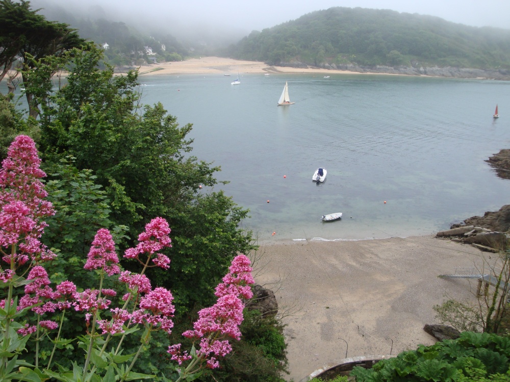 From Overbeck's House and Garden photo by Cees Zeelenberg