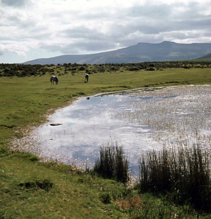The BRECON BEACONS from Mynydd Illtyd