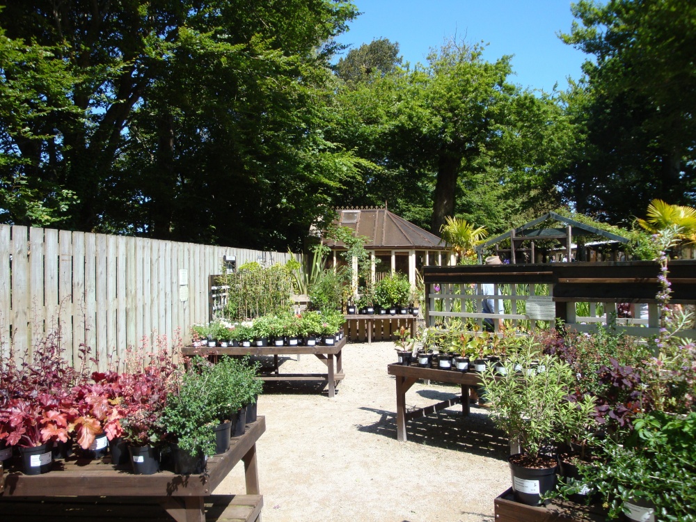 Lost Gardens of Heligan