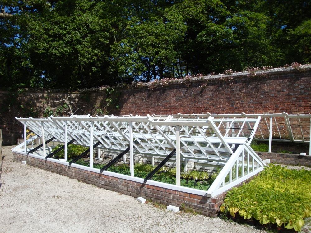 Lost Gardens of Heligan