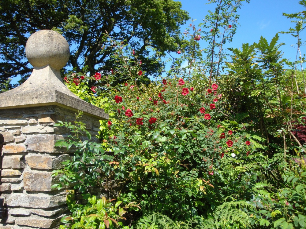 Lost Gardens of Heligan