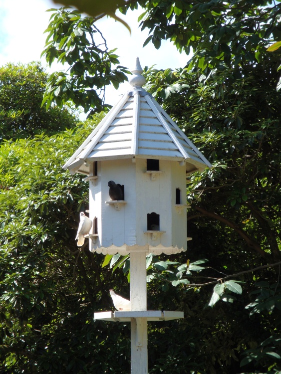 Lost Gardens of Heligan