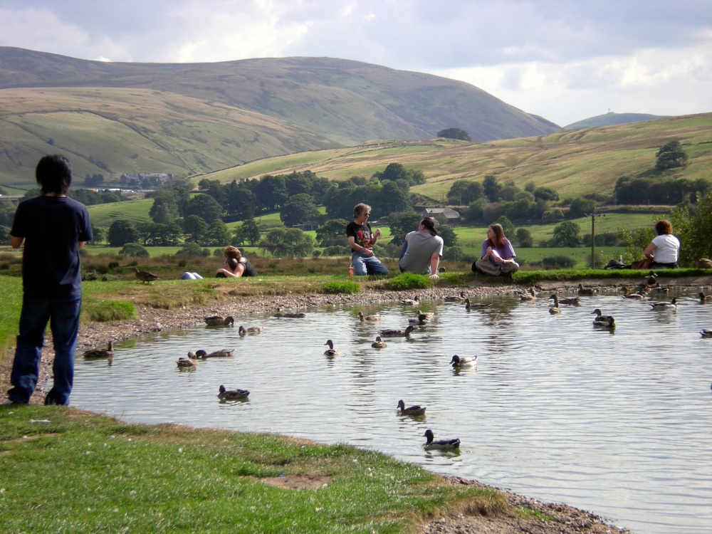 Shap Services M6 northbound