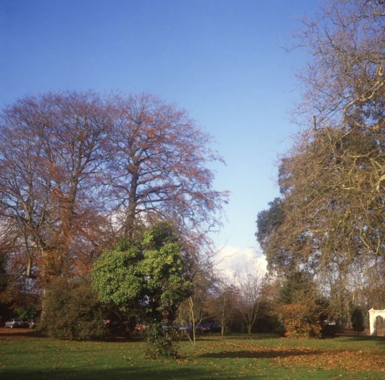 Photograph of Autumn colours, County Museum grounds, Abergwili