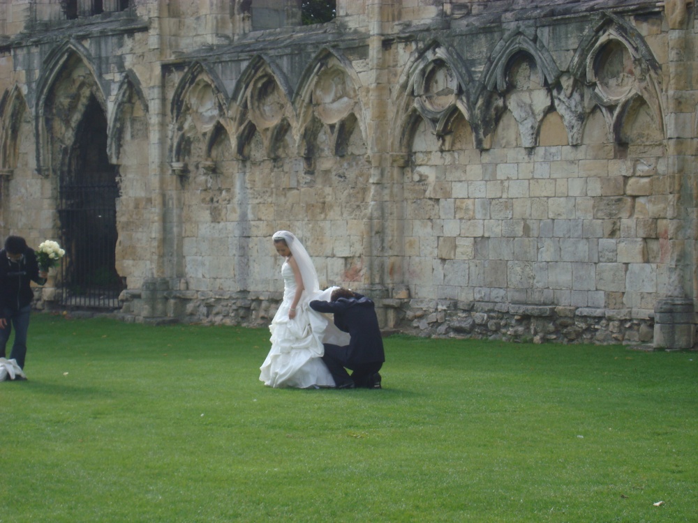 Museum Gardens unusual scene