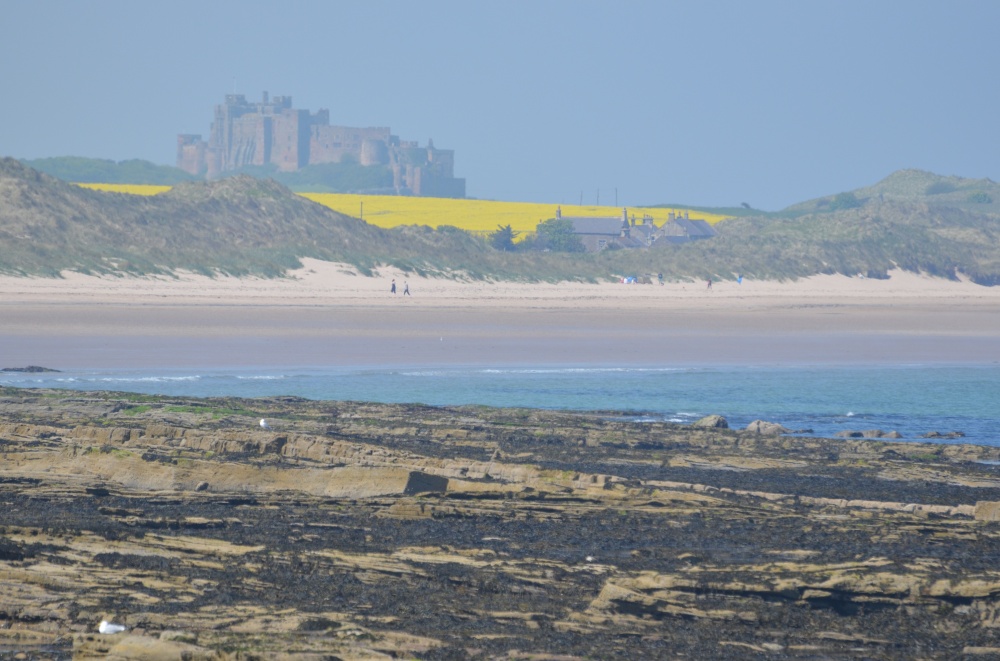Bamburgh from Seahouses harbour
