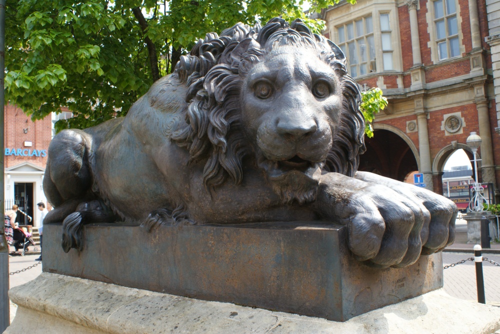 Photograph of One of our lions.