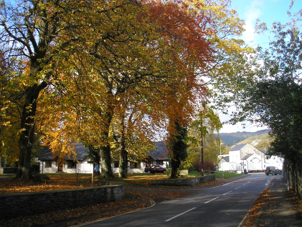 Photograph of Trees near Powys
