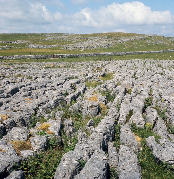 Malham Lings,near Malham, Craven Pennines