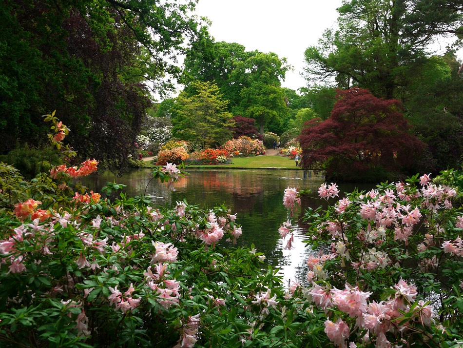 Exbury Gardens