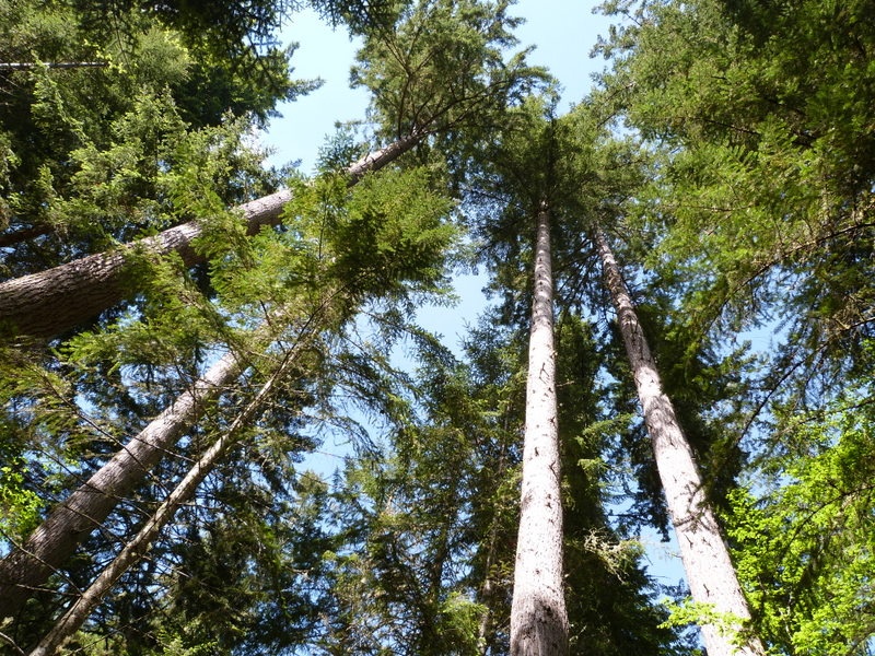 Photograph of Inverness