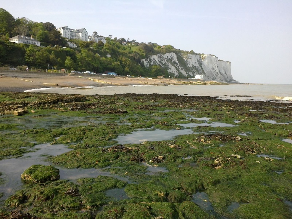 Tide's out! St Margaret's Bay