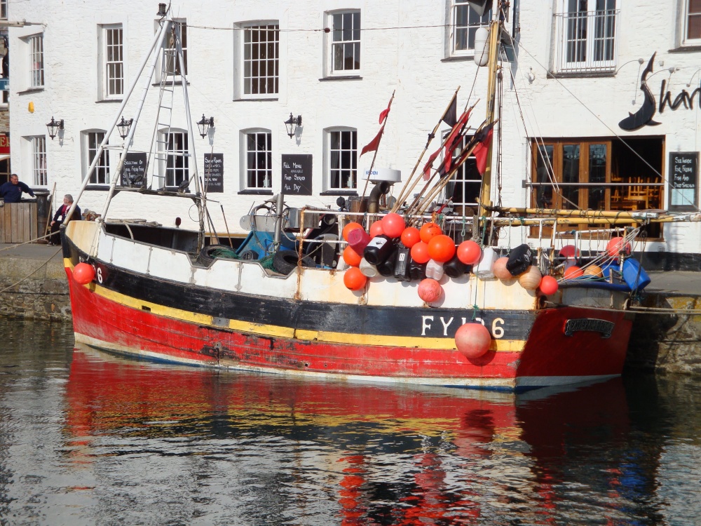 Mevagissey June 2009