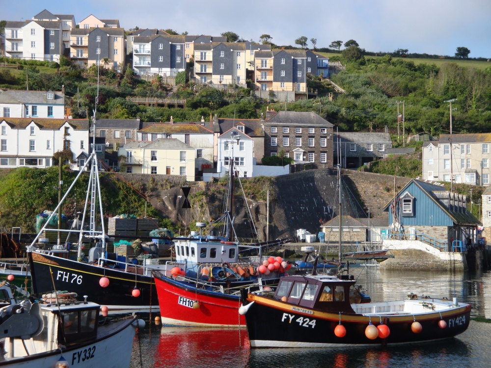 Mevagissey june 2009