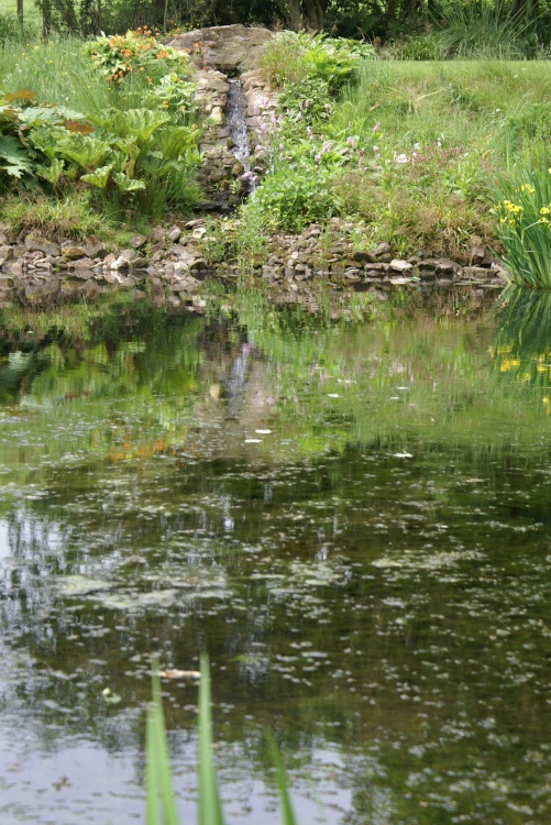 Garden pond at Crook Hall