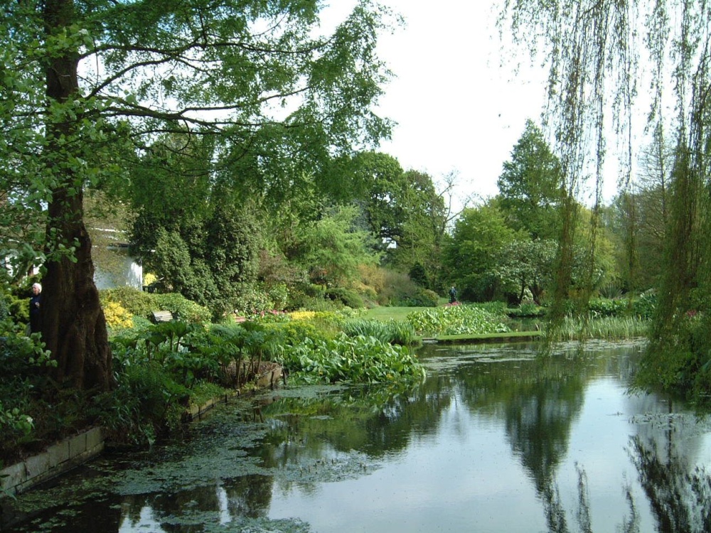 Beth Chatto Gardens, May 2001 photo by Cees Zeelenberg