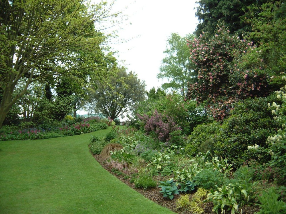 Beth Chatto Gardens, May 2001