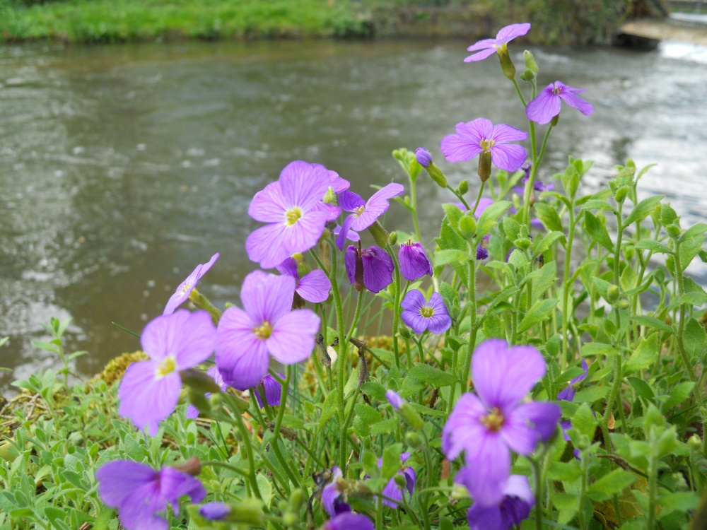 Lower Slaughter, Gloucestershire