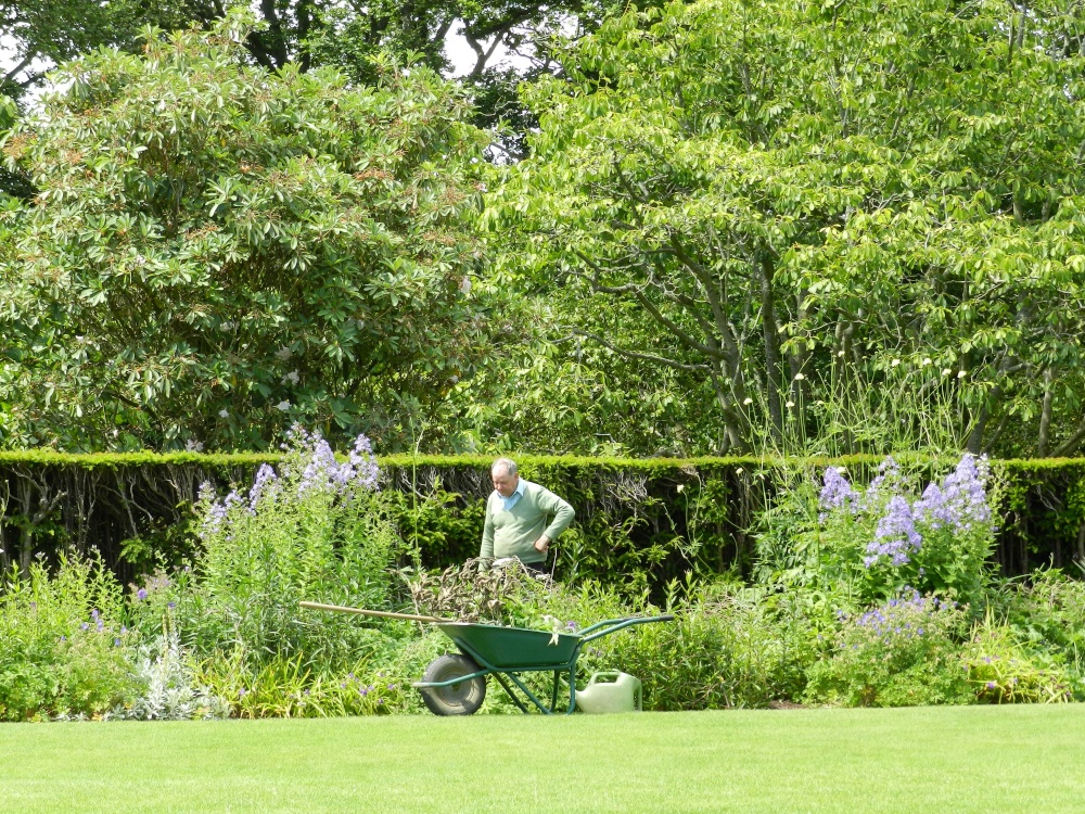 Bodnant Garden, June 2011