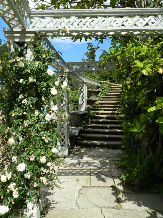 Bodnant Garden, June 2011