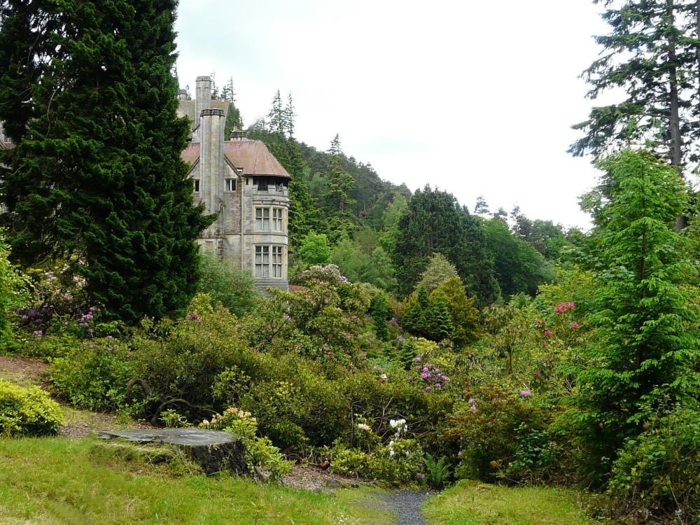 View from the rockery