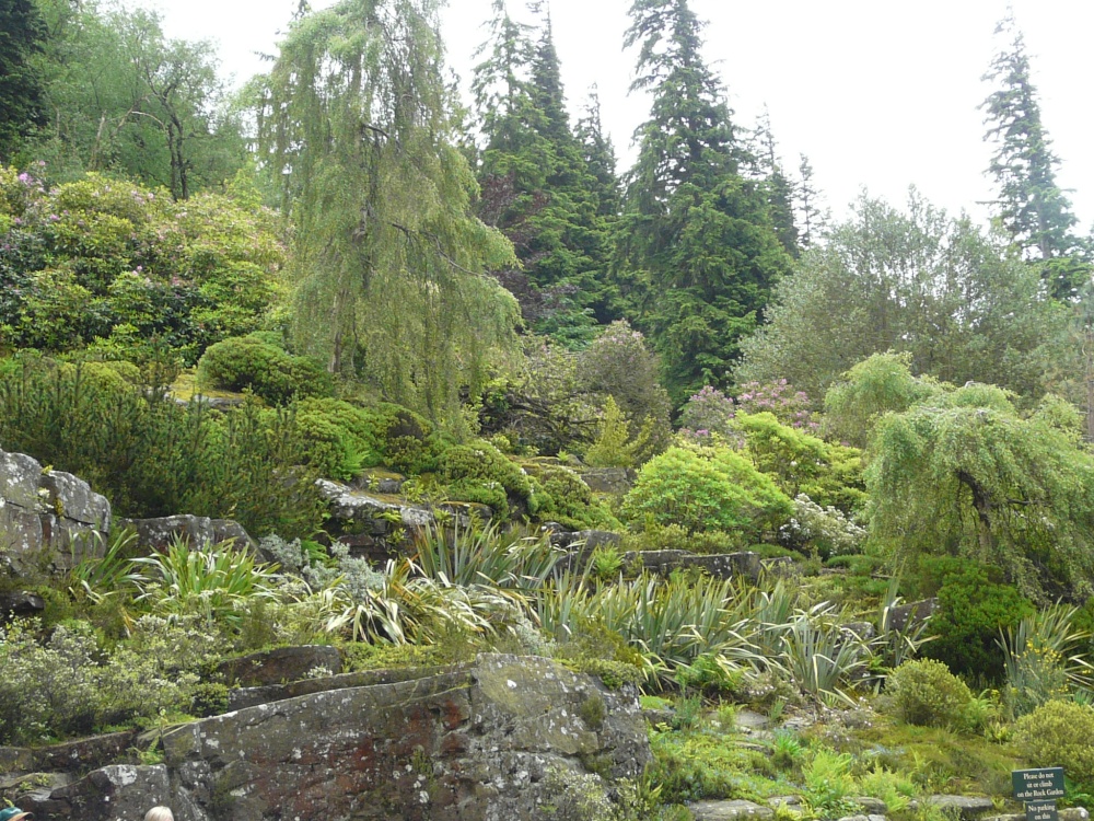 Cragside House, rock garden