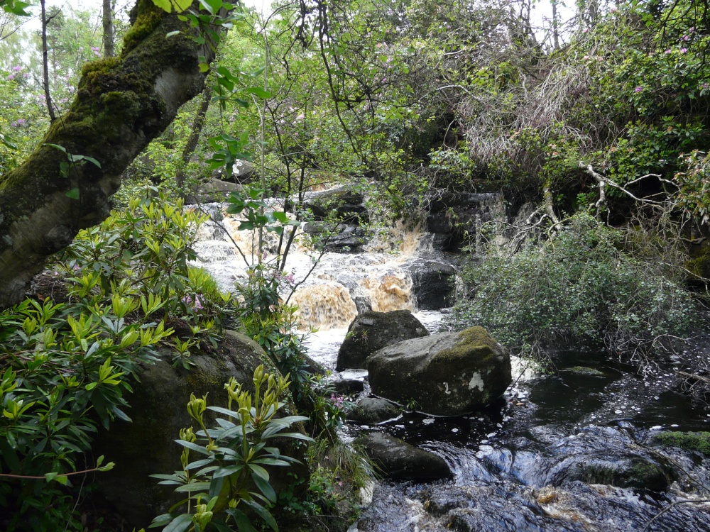 Cragside House,near Nelly's Moss lake