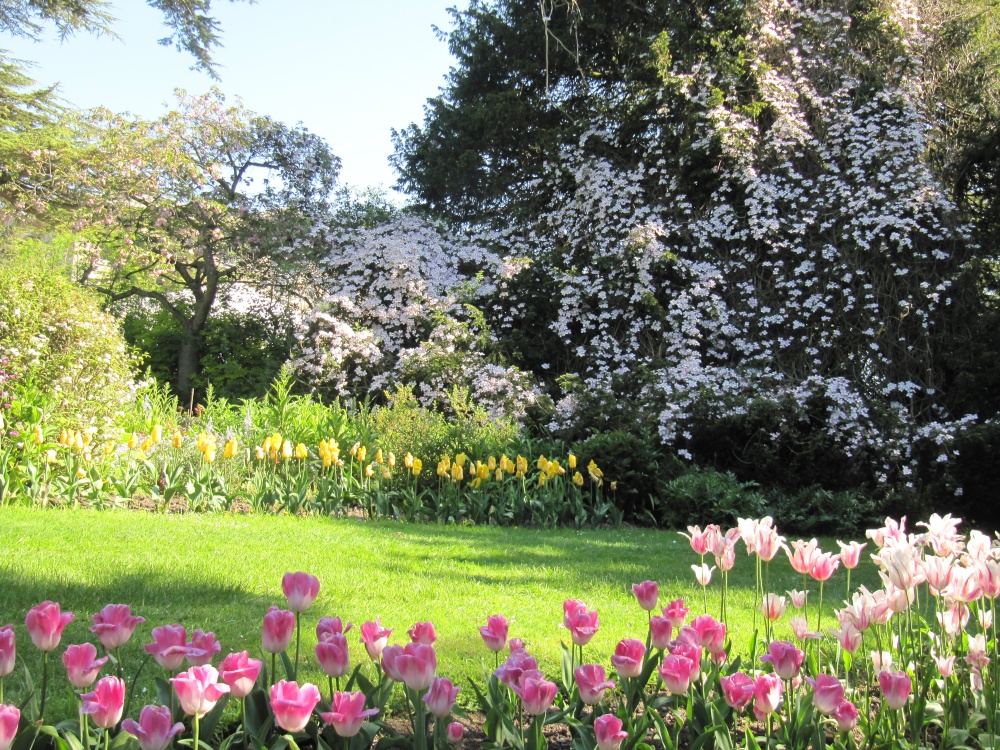 Flower Gardens, Constable Burton Hall Gardens