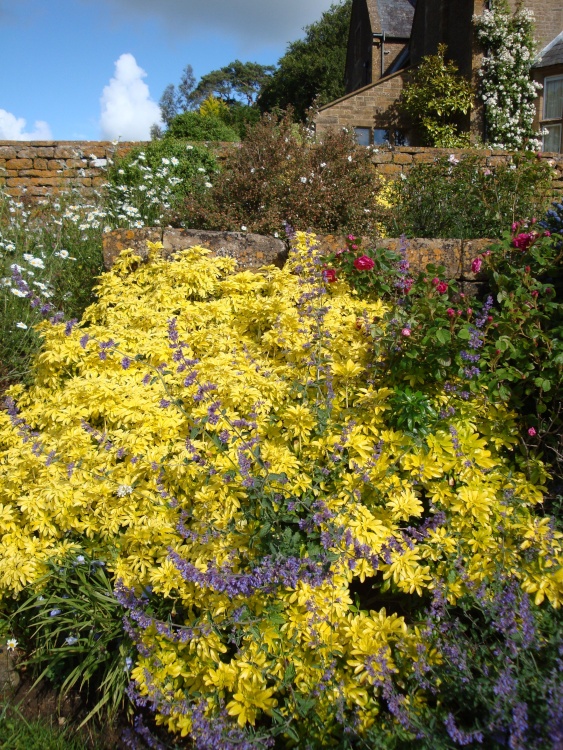 Pendomer House, June 2009