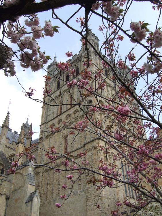 Exeter Cathedral