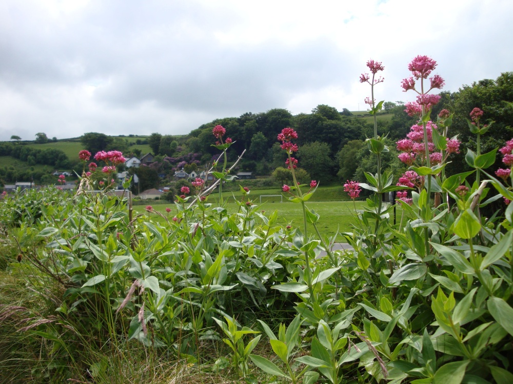 Lynton and Lynmouth, June 2009
