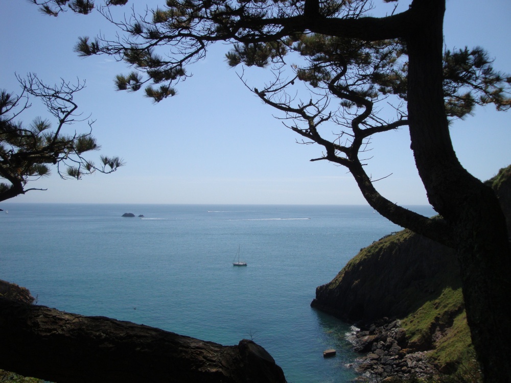Coleton Fishacre, June 2009 photo by Cees Zeelenberg