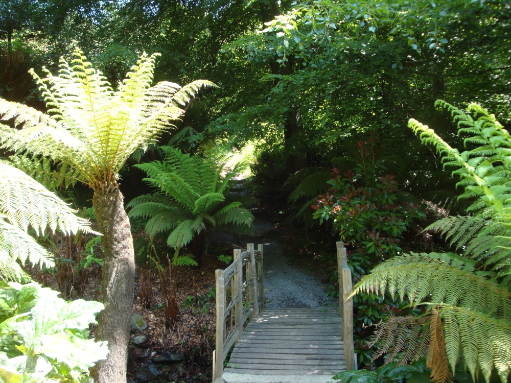 Coleton Fishacre, June 2009