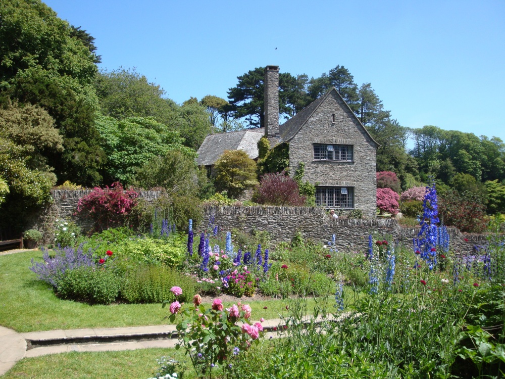 Coleton Fishacre, June 2009