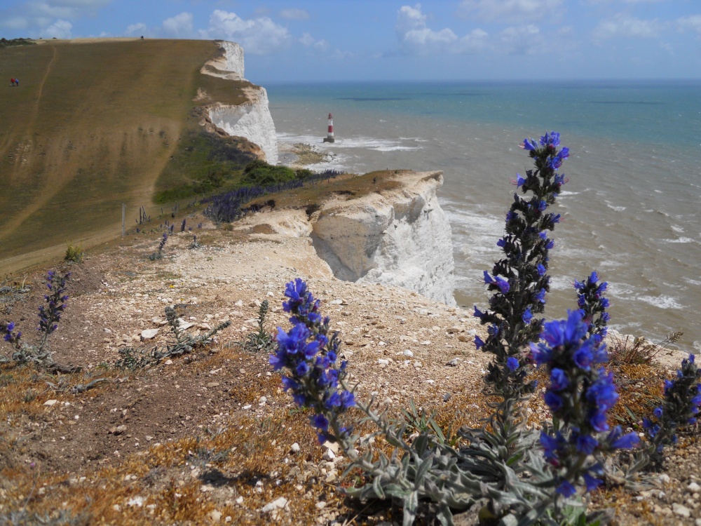 Beachy Head, Eastbourne photo by Martin Humphreys